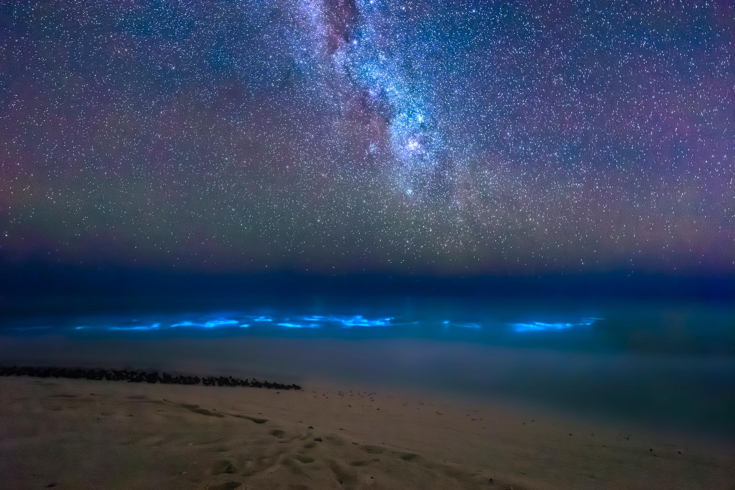Bioluminescence sous les étoiles